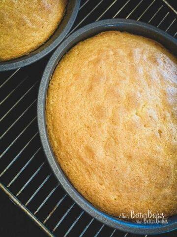 baked Victoria sponges in tin