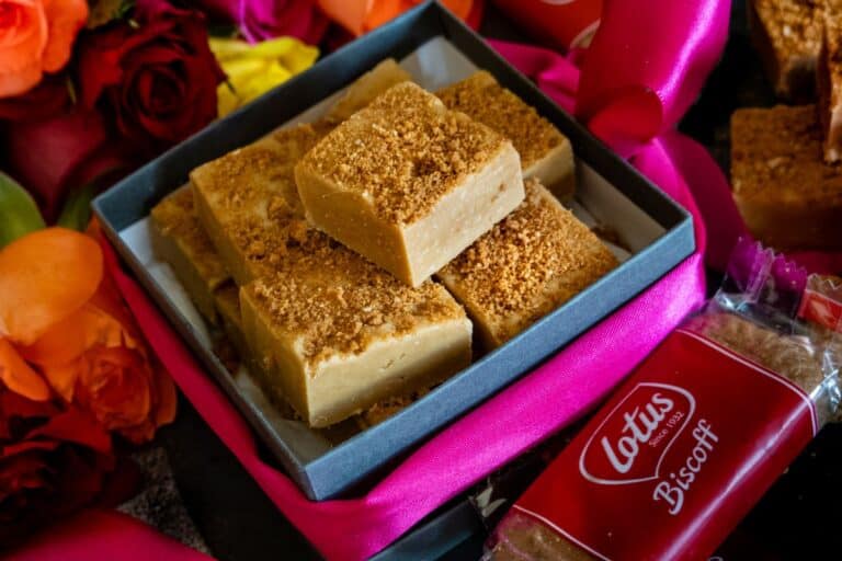 featured image of Biscoff fudge