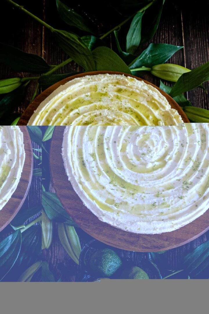 mojito cheesecake portrait head shot