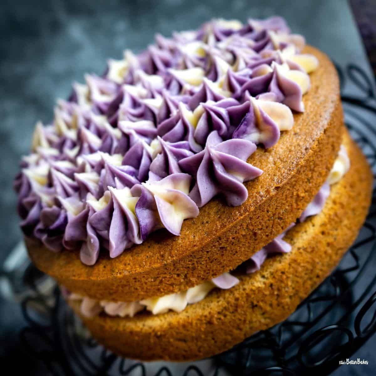 square image of lavender cake