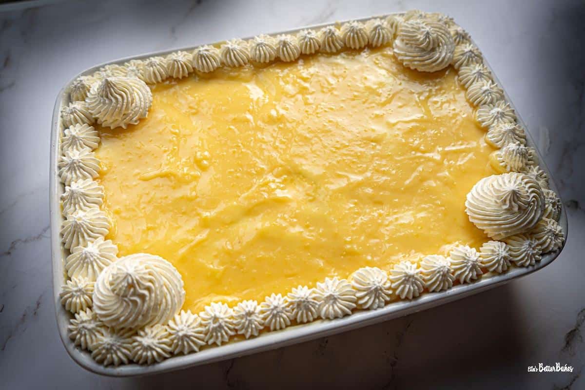 finished lemon tiramisu with cream piped around the edges