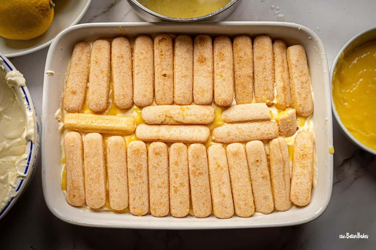 second layer of sponge fingers soaked in lemon syrup