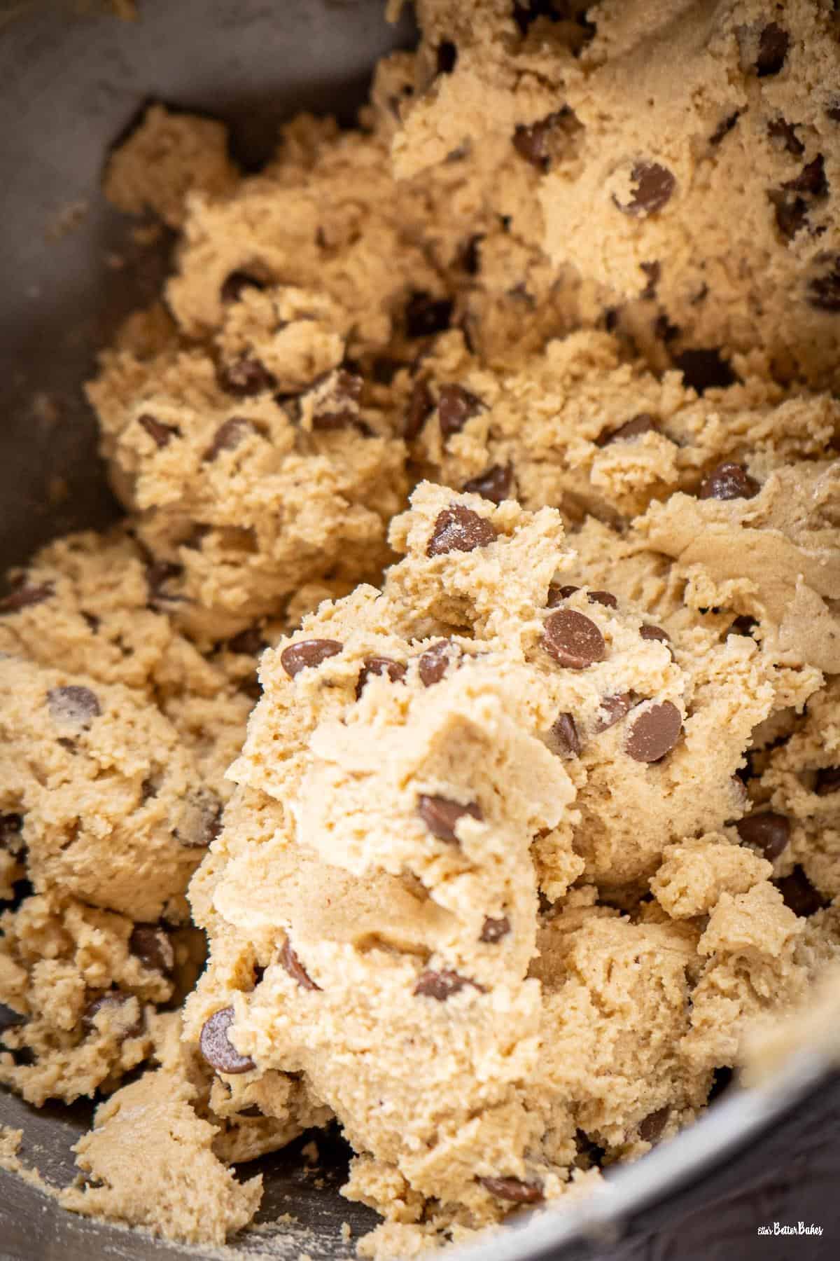 cookie dough mixed portrait sized photo