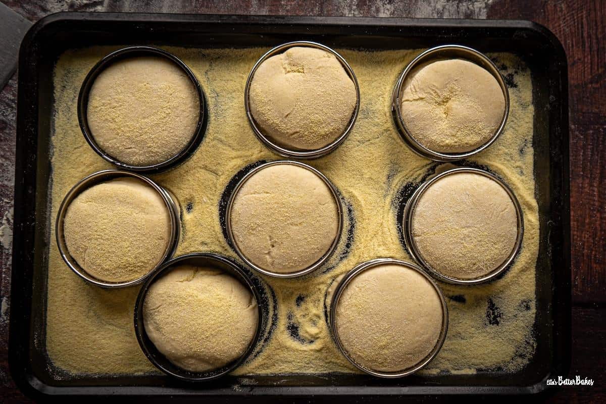 english sourdough muffins on a tray covered in semolina